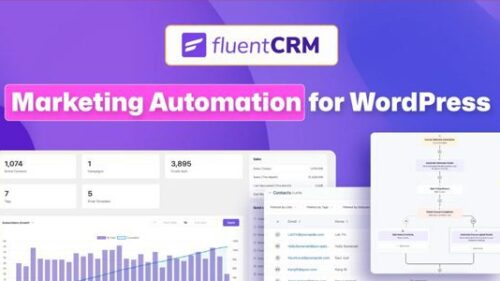 FluentCRM-Pro-Marketing-Automation-For-WordPress fluent crm zh cn 中文语言包 FluentCRM 后台汉化