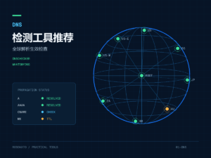 DNS 检测工具全球解析生效检查示意图