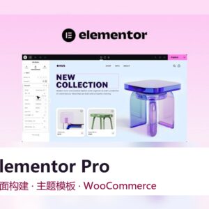 Elementor Pro 页面构建插件 Elementor Pro 页面构建插件
