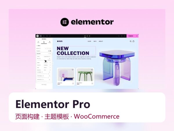 Elementor Pro 页面构建插件 Elementor Pro 页面构建插件