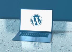 WordPress 速度优化指南：在笔记本电脑上优化网站性能