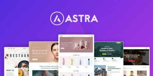 Astra Pro Addon v4.13.10 WordPress 插件