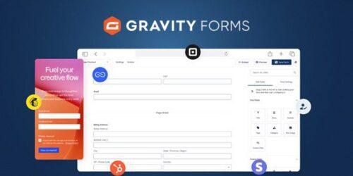 Gravity Forms v3.1.3 WordPress 插件